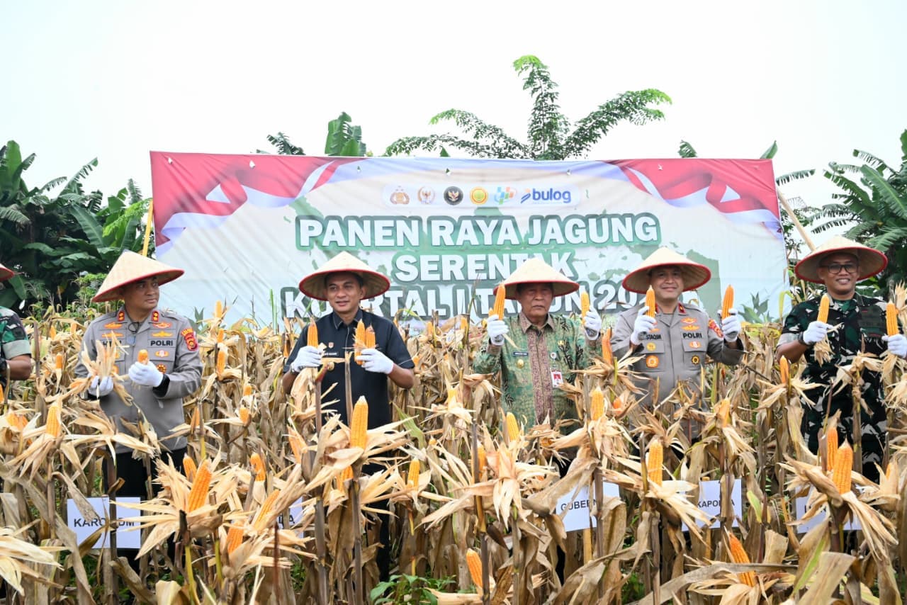 Polda Jambi Bersama Forkopimda Provinsi Panen Raya Jagung Serentak Kuartal I Tahun 2026
