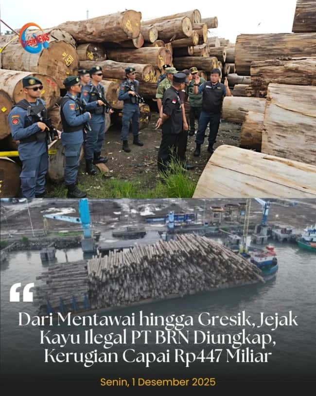 Kementerian Kehutanan Menetapkan Direktur Utama PT BRN Berinisial IM (29) Sebagai Tersangka Kasus Illegal Logging di Kepulauan Mentawai, Sumatera Barat