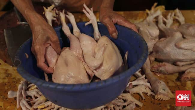 Harga Daging Ayam Meningkat Drastis Menjelang Ramadan di Medan